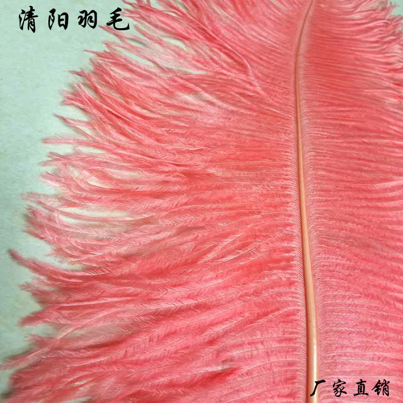 Lông đà điểu 60-65 cm với bó hoa.