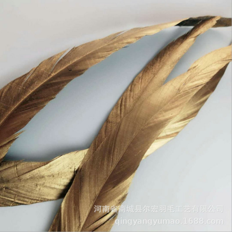 Lông chim cu vàng 35-40 cm để trang trí DIY