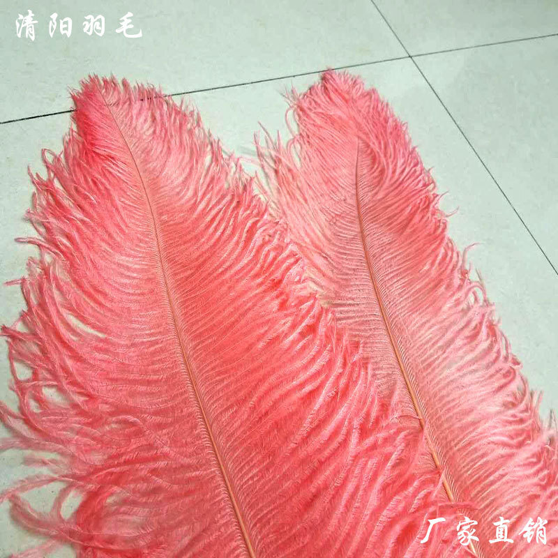 Lông đà điểu 60-65 cm với bó hoa.