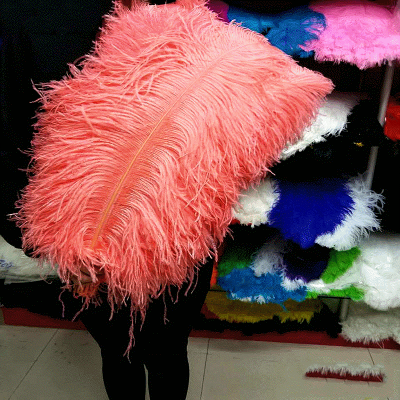 Lông đà điểu 60-65 cm với bó hoa.