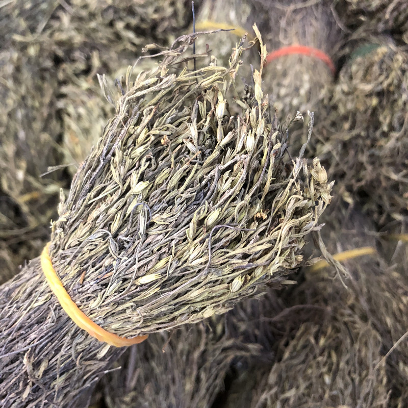 Em sẽ đi đón con, và em sẽ đón con, và em sẽ đi đón con.