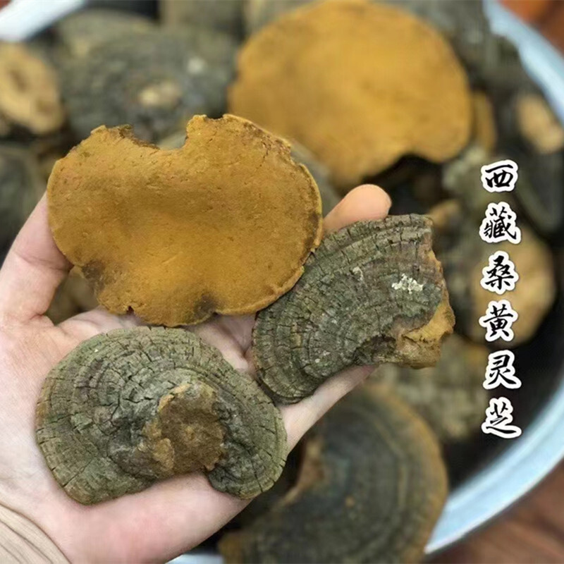 Ở Tây Tạng, trà San England Chí 500g Bing Chai hoang dã có thể được sản xuất với một lát hoa cúc.