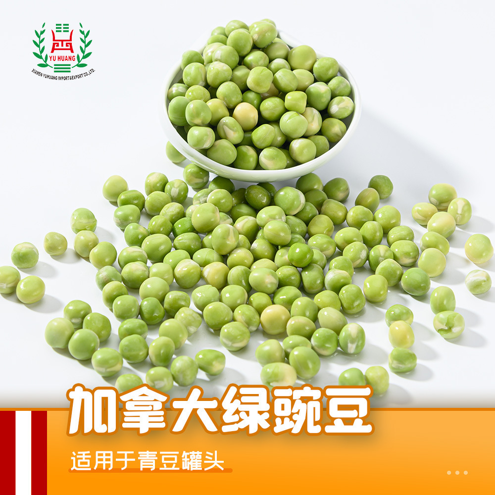 50 g cho đậu xanh/ túi đậu xanh