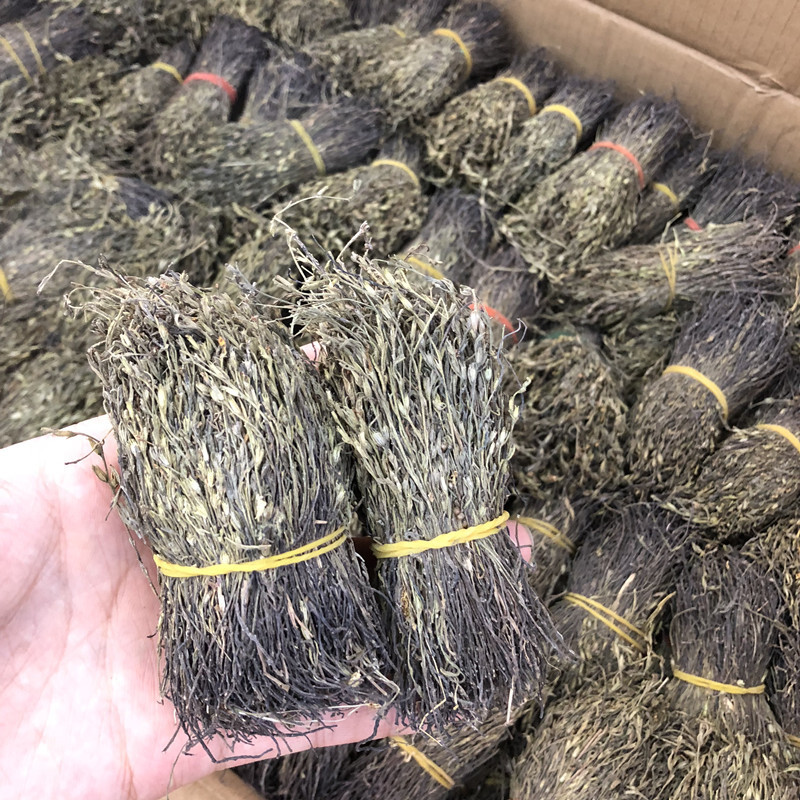 Em sẽ đi đón con, và em sẽ đón con, và em sẽ đi đón con.