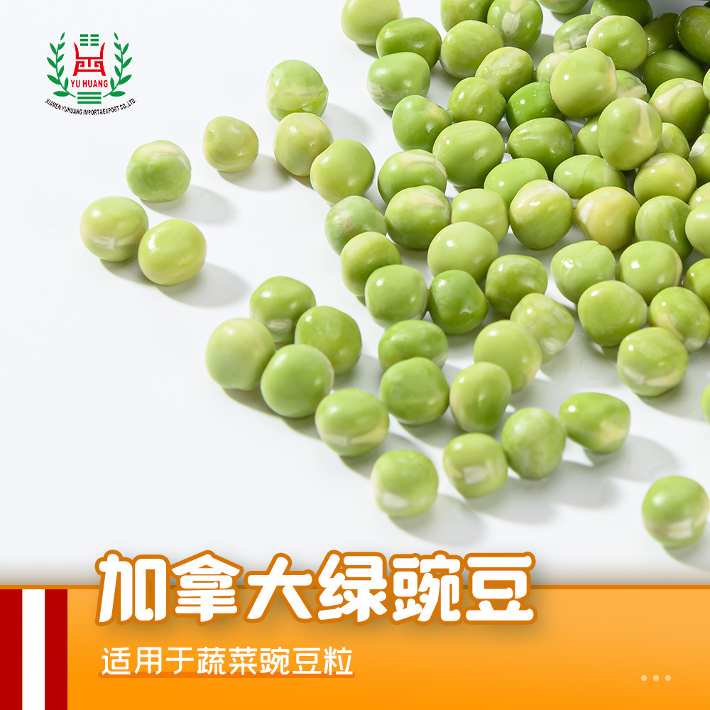 Đậu xanh Canada 50 g/bag cho đậu rau.