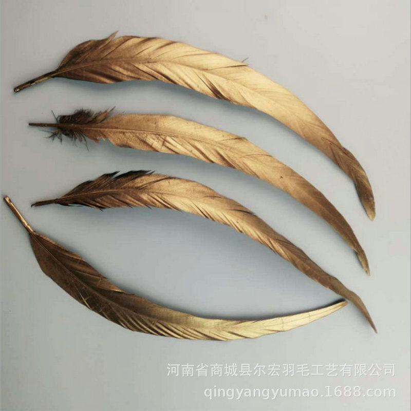 Lông chim cu vàng 35-40 cm để trang trí DIY