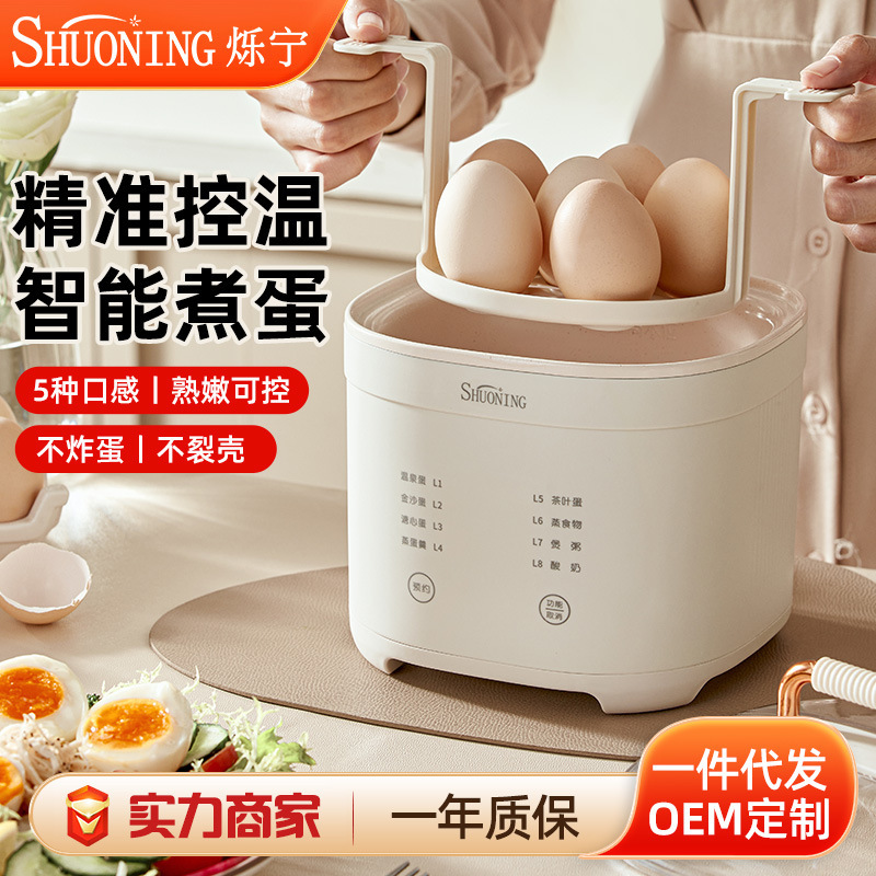 Scanning omelet home with a small steamer, fully automatic, with a multi-purpose poacher.