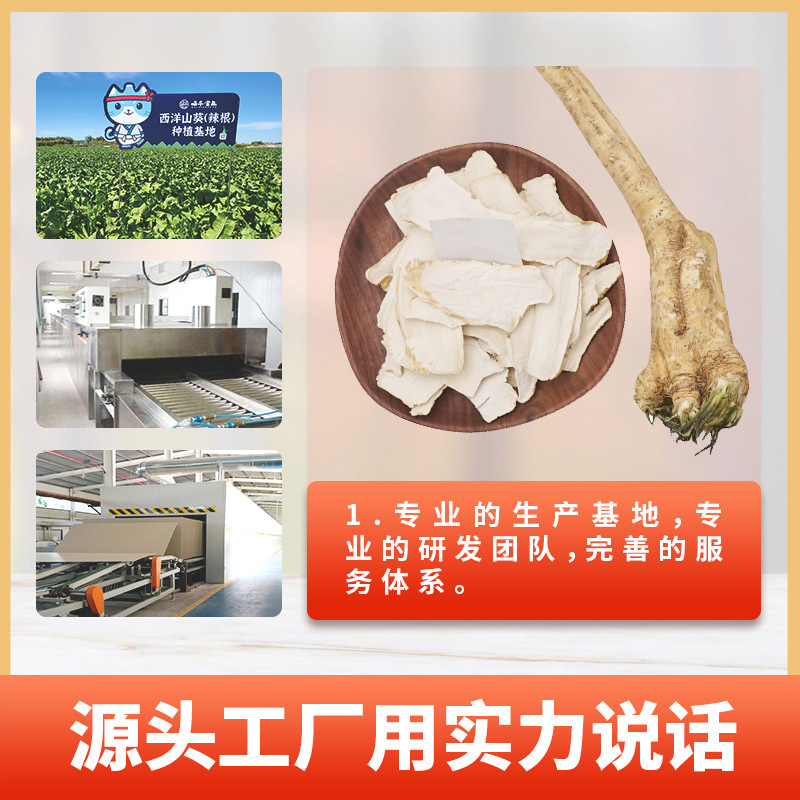 厂家供应脱水辣根干辣根片 调味品芥末原料辣根片批发加工