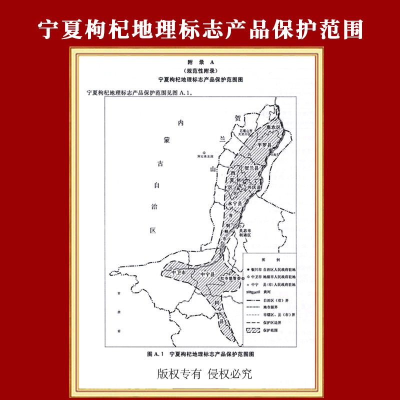 寧夏枸杞500g/罐 批發苟溝杞紅枸杞子免洗大顆一件代發招代理微商