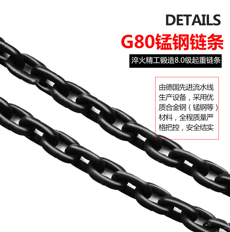 DHS ring-linked 380V1 to 2 to 5 ton pent-linked crane industrial chain suspension