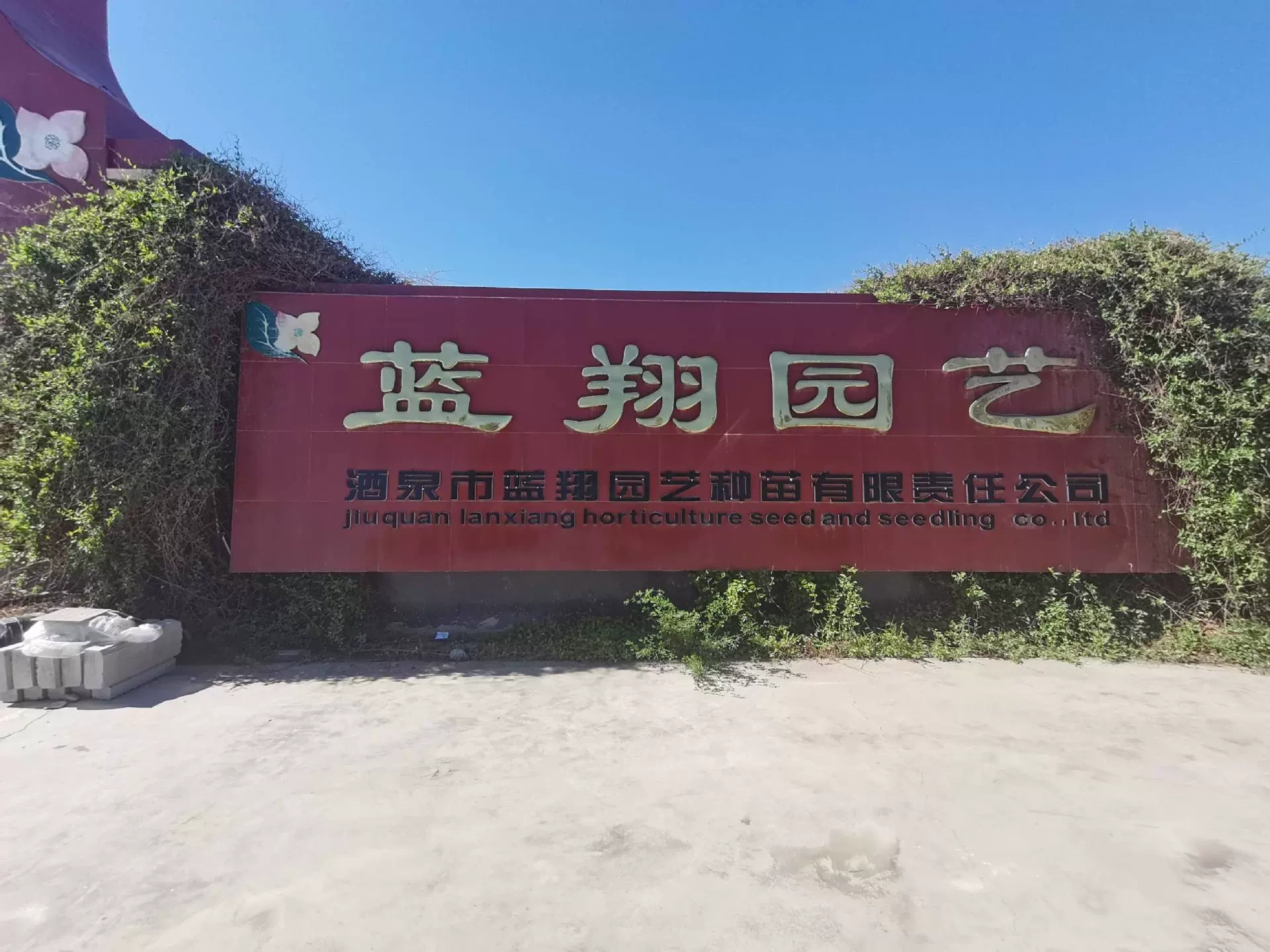 酒泉市蓝翔园艺种苗有限责任公司