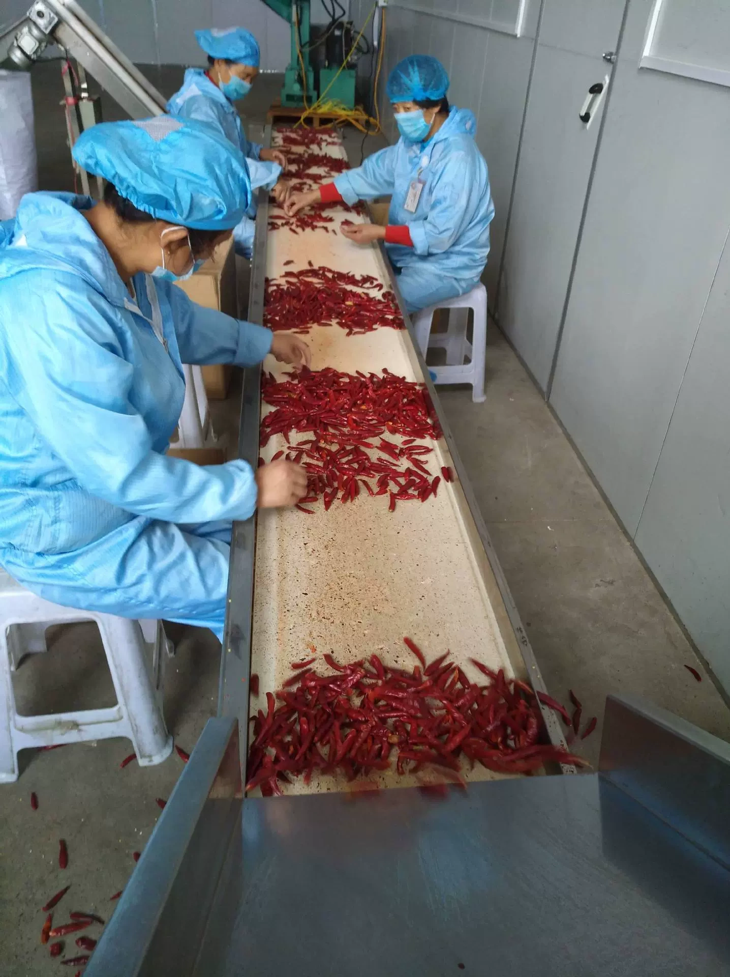 Công ty TNHH Nếm thử Sindar