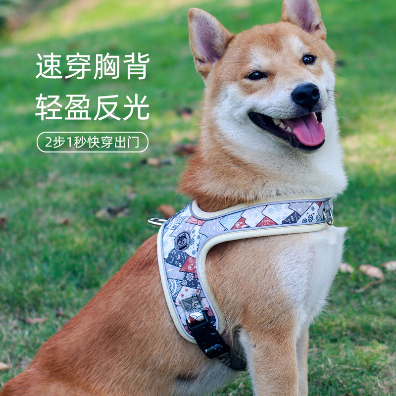 Dopamine cho gấu bông.