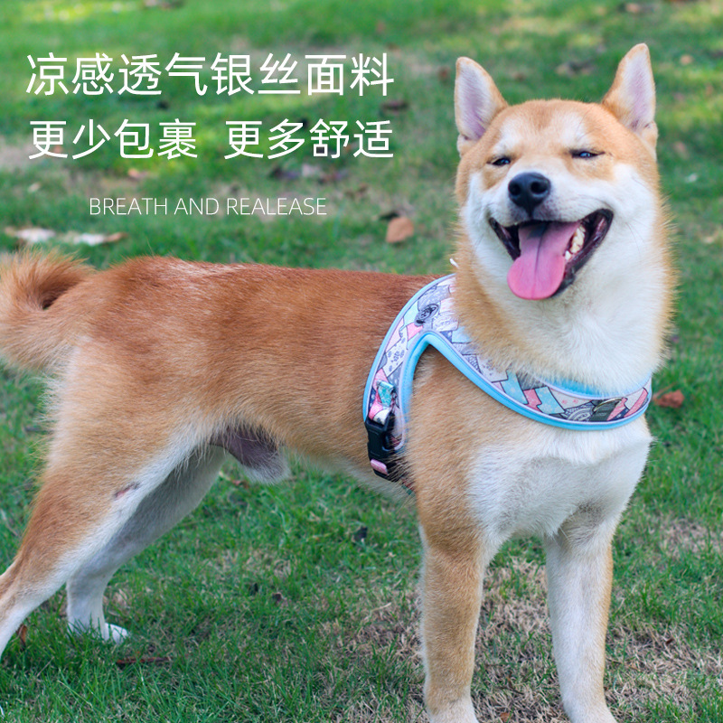 Dopamine cho gấu bông.