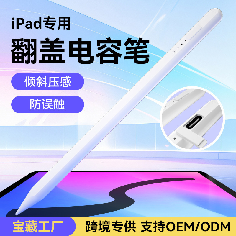 Một cây bút viết tay active touch được áp dụng cho một chiếc ipad apple-specific electric cape parlour dành cho applepencil