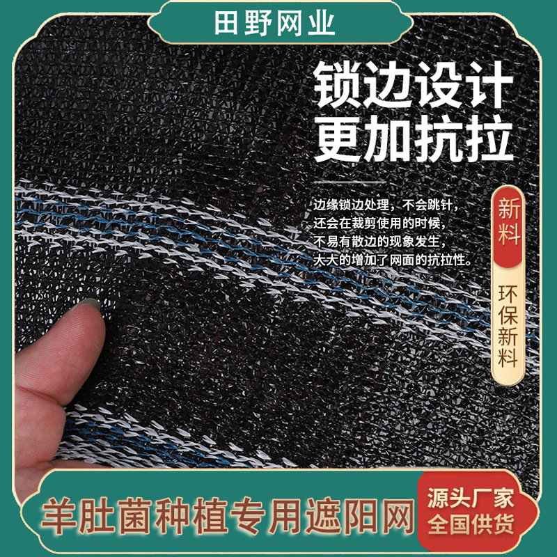 Các mạng lưới mặt trời nông nghiệp tự chế được mã hóa với hệ thống cách nhiệt của nấm nấm tử cừu