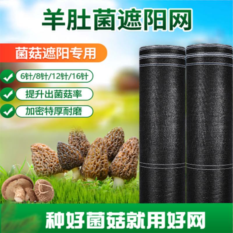 Các mạng lưới mặt trời nông nghiệp tự chế được mã hóa với hệ thống cách nhiệt của nấm nấm tử cừu