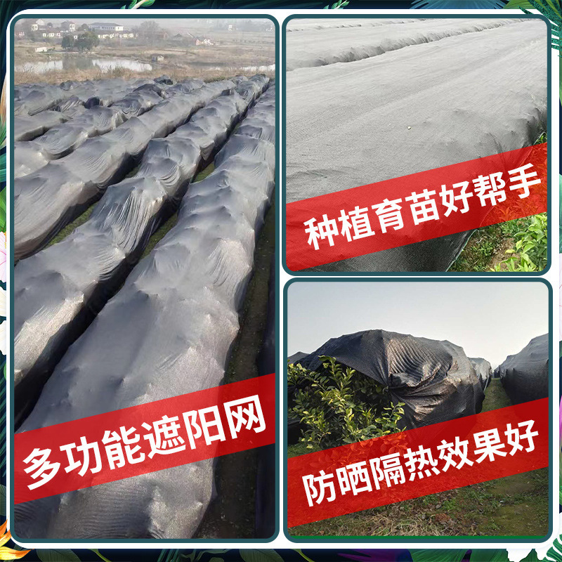 Mã hóa đen và dung lượng cao đối với agro-in hóa ra ngoài trời sunnets và sunnets