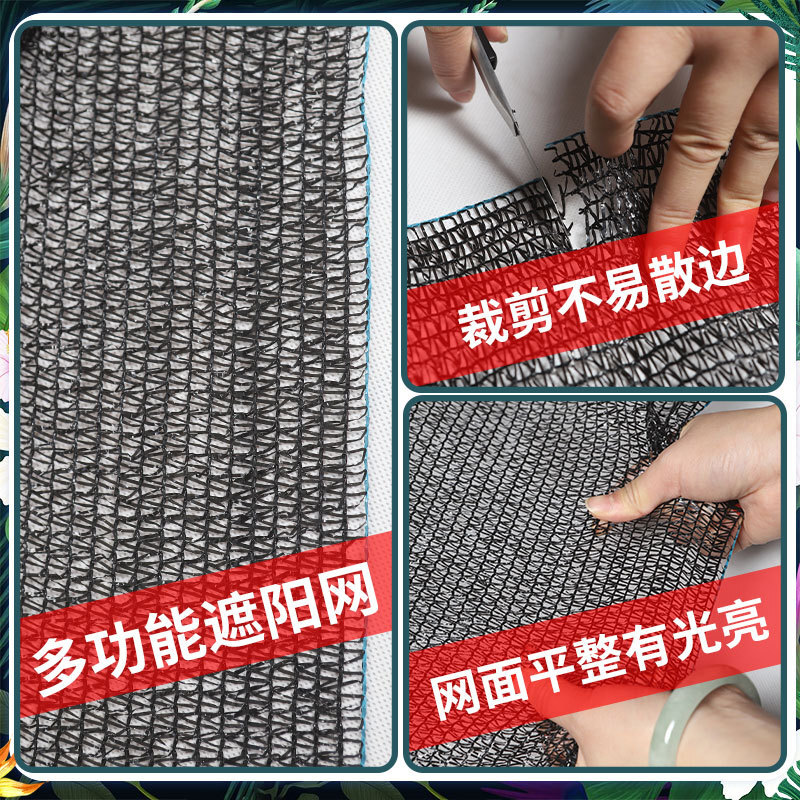 75 phần trăm của tất cả các kem chống nắng được bao phủ bởi một mặt trời đen dày 4 inch được sử dụng bởi nhà máy sản xuất dâu tây rộng lớn của cây