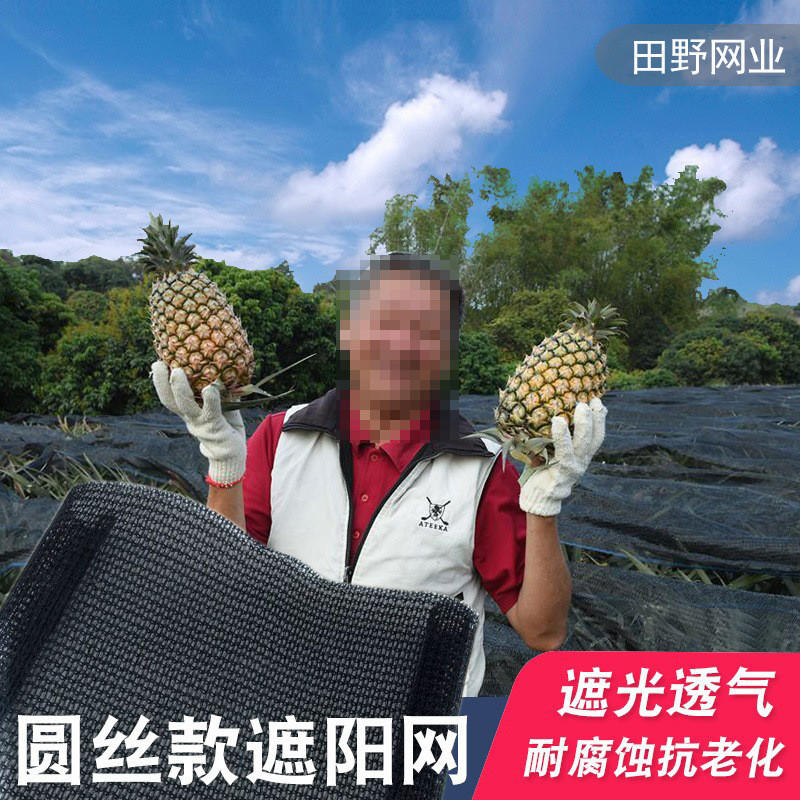Tuỳ biến phiên bản mới hơn của các màu đen phủ lưới mặt trời đổ ánh nắng màn hình mặt trời bền vững mạng lưới nông nghiệp ma thuật