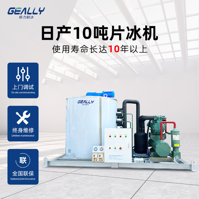Lớn, 10 tấn nước ngọt hàng ngày máy sản xuất băng, khối băng lớn, thịt và thực vật xử lý máy băng thương mại