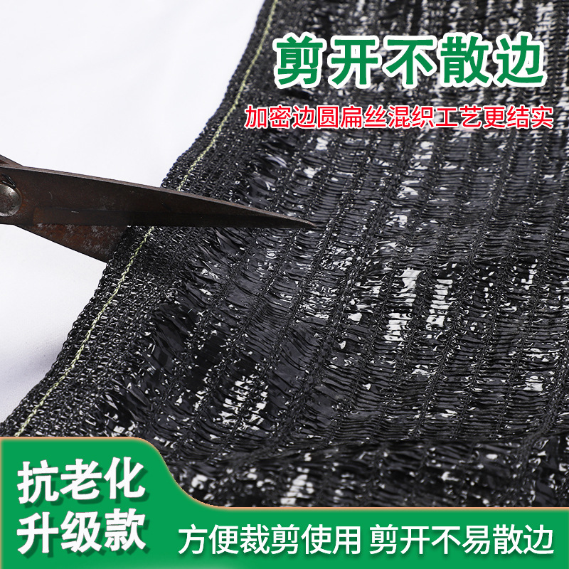 Mạng lưới phủ rộng của nhà máy được mã hóa bằng rau quả và trà chống nắng