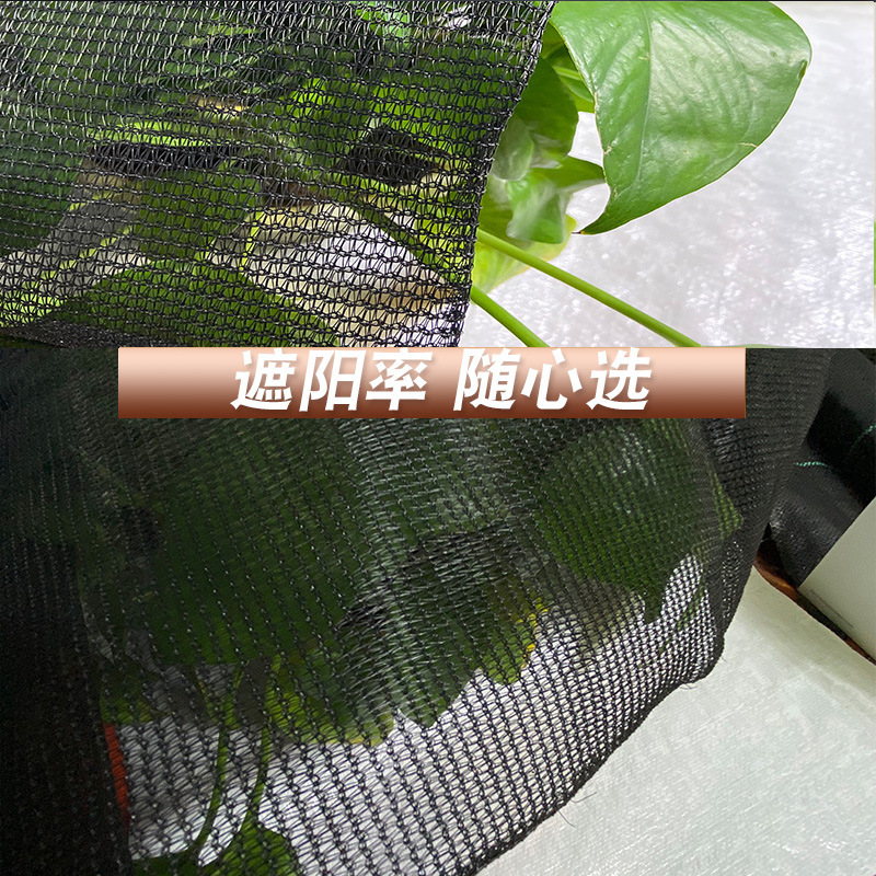 Tuỳ biến phiên bản mới hơn của các màu đen phủ lưới mặt trời đổ ánh nắng màn hình mặt trời bền vững mạng lưới nông nghiệp ma thuật
