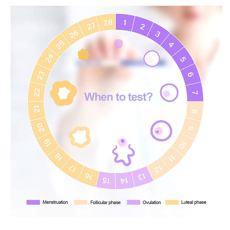 Test paper for pregnancy. Test paper for pregnancy. Test paper for pregnancy.