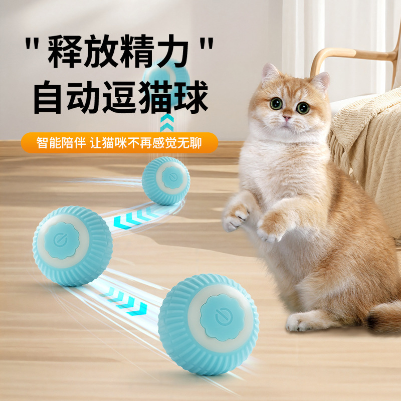 Cross-border pet gravitational-rolling cat-to-cat electric toy grinds 그의 치아와 그의 높은-to-heavy 장난감.