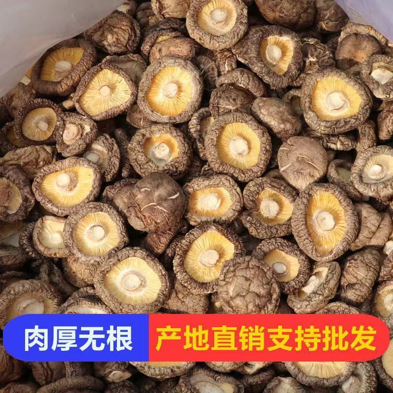 Một lô hàng mới 500g nấm khô và 500g nấm sống.