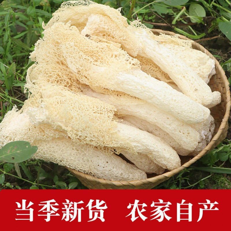 Trong mùa giải, bộ lông tơ mới được chỉnh sửa trang web trang điểm, chỉnh sửa, chỉnh sửa chỉnh sửa chỉnh sửa chỉnh sửa chỉnh sửa chỉnh sửa chỉnh sửa chỉnh sửa chỉnh sửa chỉnh sửa trang trang sợi tơ bị sửa