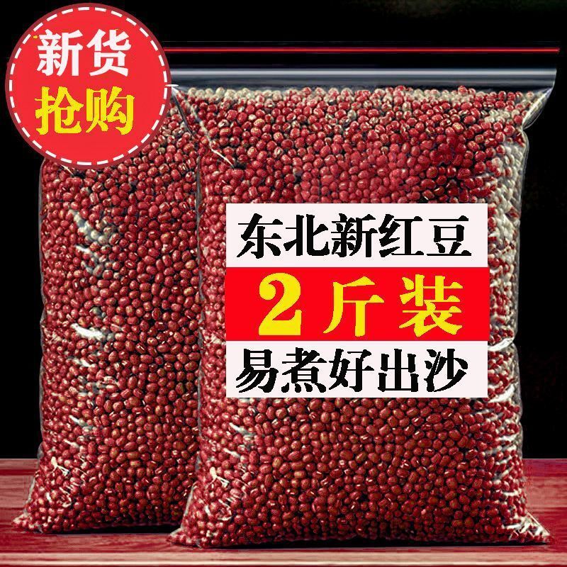 2024 Chim lớn khổng lồ khổng lồ khổng lồ khổng lồ.