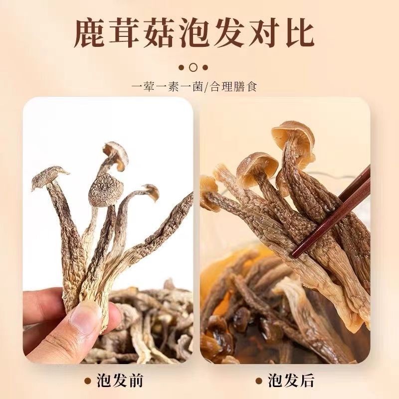 Dịch bởi Vũ Hạnh, Mai Linh, Nga, Huy Tô, Yuki, Ann, Phương