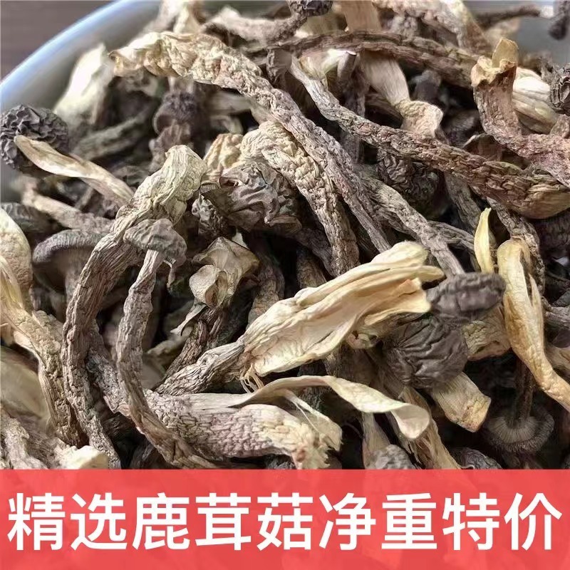 Dịch bởi Vũ Hạnh, Mai Linh, Nga, Huy Tô, Yuki, Ann, Phương
