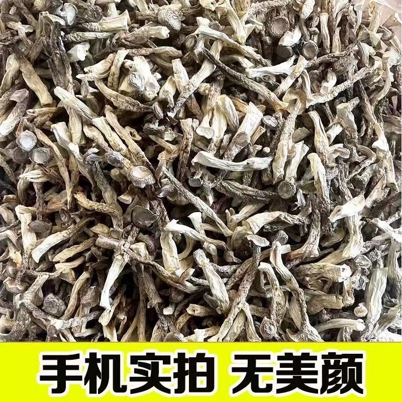 Dịch bởi Vũ Hạnh, Mai Linh, Nga, Huy Tô, Yuki, Ann, Phương