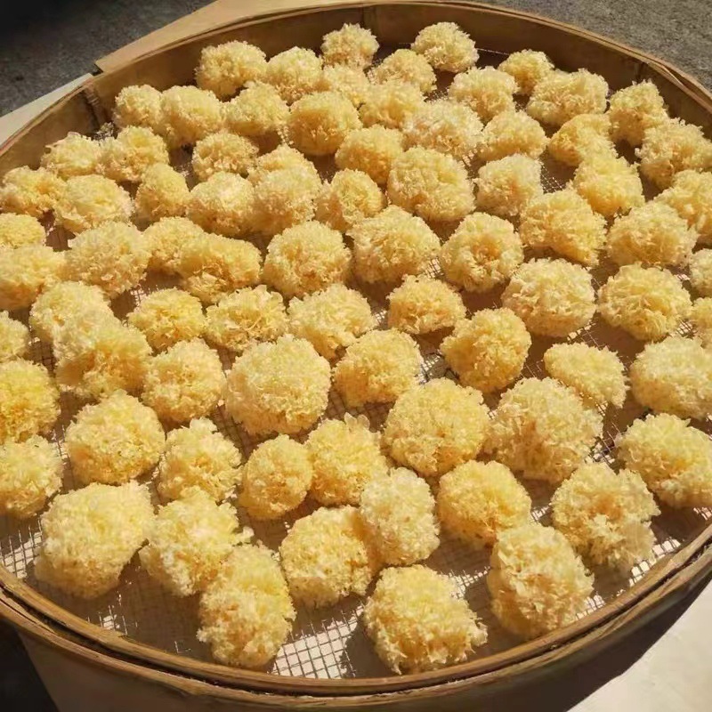 Đôi tai khô, khô, nhỏ, phân hủy nhanh, được bán trực tiếp bởi nhà cây.