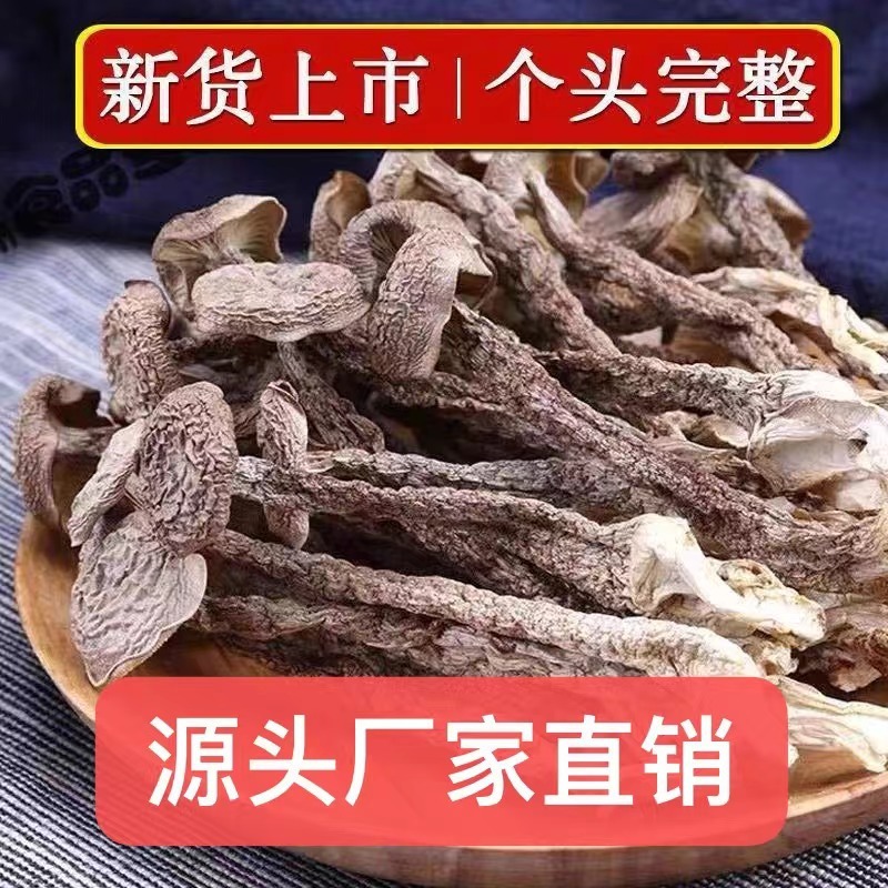 Dịch bởi Vũ Hạnh, Mai Linh, Nga, Huy Tô, Yuki, Ann, Phương