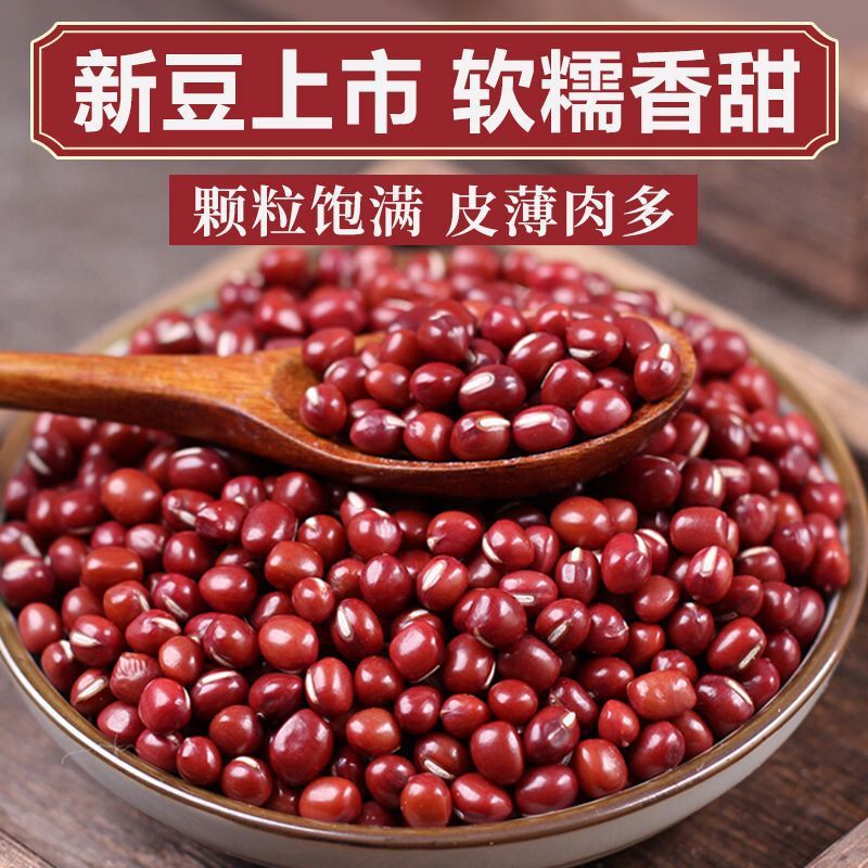 2024 Chim lớn khổng lồ khổng lồ khổng lồ khổng lồ.