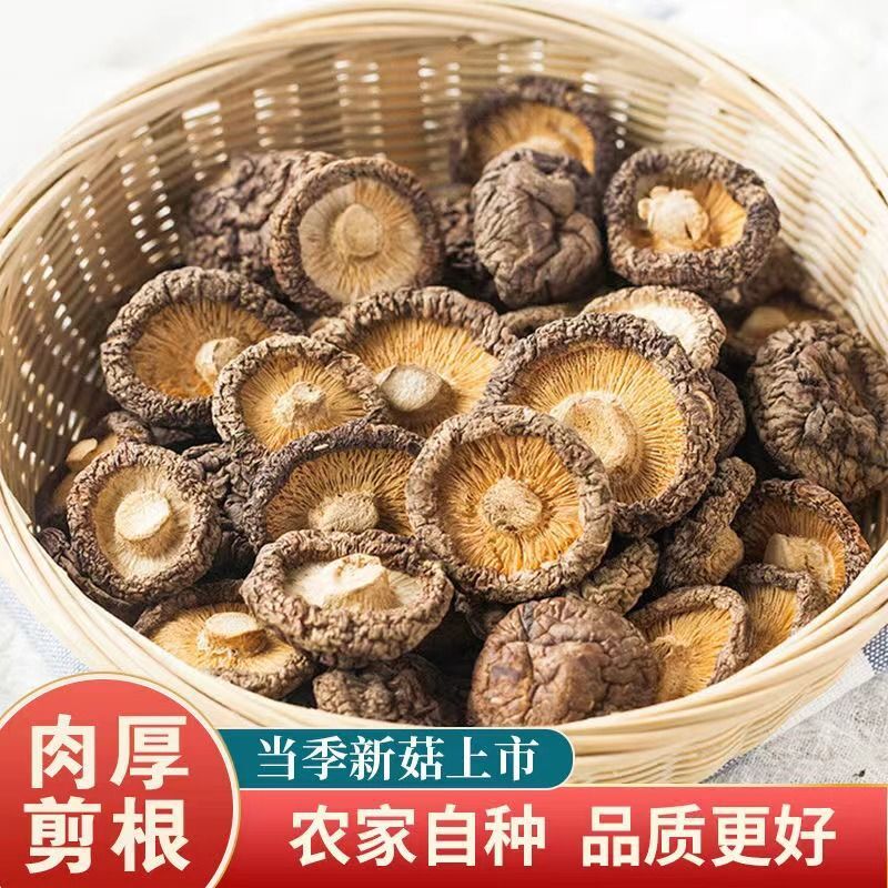 Một lô hàng mới 500g nấm khô và 500g nấm sống.