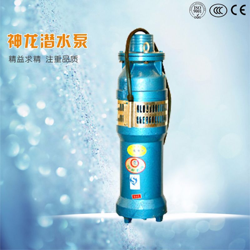 QS Small-scale Diving Power Pump Standing Deep Well Diving Pump Water Pumping Field Irrigation Pump Landscape Spring Pump