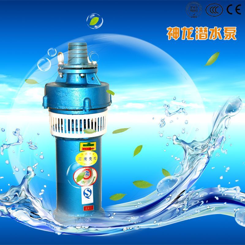 QS Small-scale Diving Power Pump Standing Deep Well Diving Pump Water Pumping Field Irrigation Pump Landscape Spring Pump