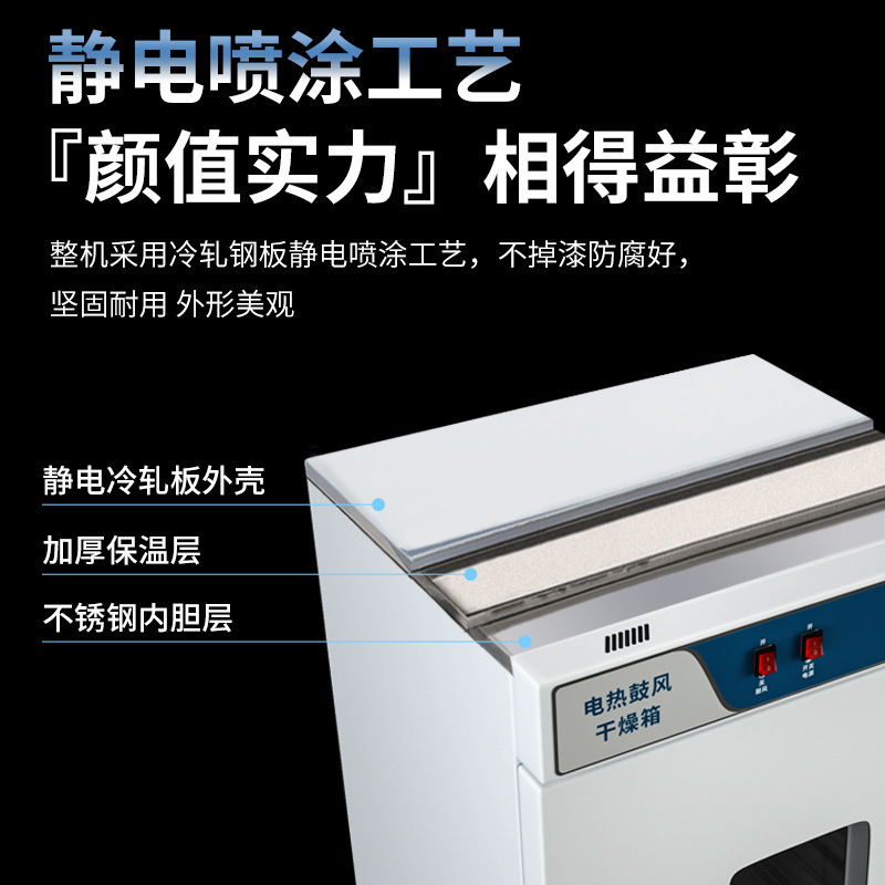 電熱鼓風乾燥箱實驗室新款立式烘乾高溫老化定時恆溫烤箱大型烘箱
