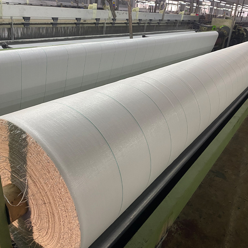 Một khu vườn cao nhất với những cây cỏ xanh tươi và những cây non lai giống để làm cây cỏ bị rụng.