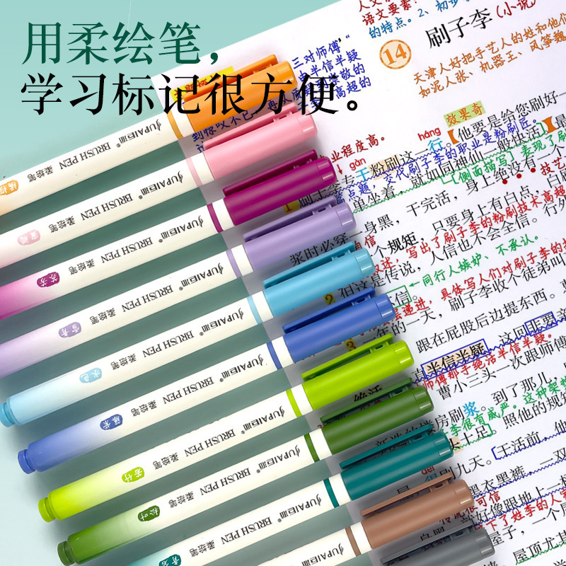 The giant colored Brush's book-booking drawings for the students' notes.