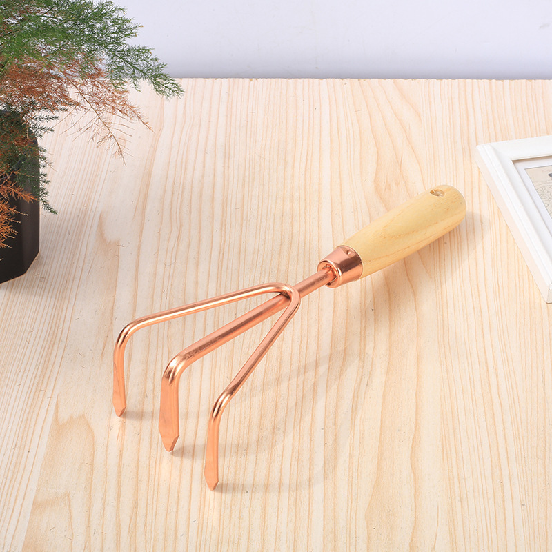 Toàn bộ ba bộ hoa nhà trồng và các công cụ làm vườn bằng ngọc lam