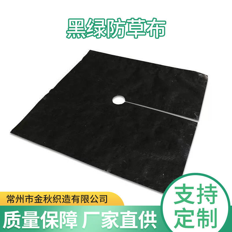Cây cỏ xanh và xanh lá cây làm vườn và làm vườn đất cho cỏ xanh và cỏ bao phủ