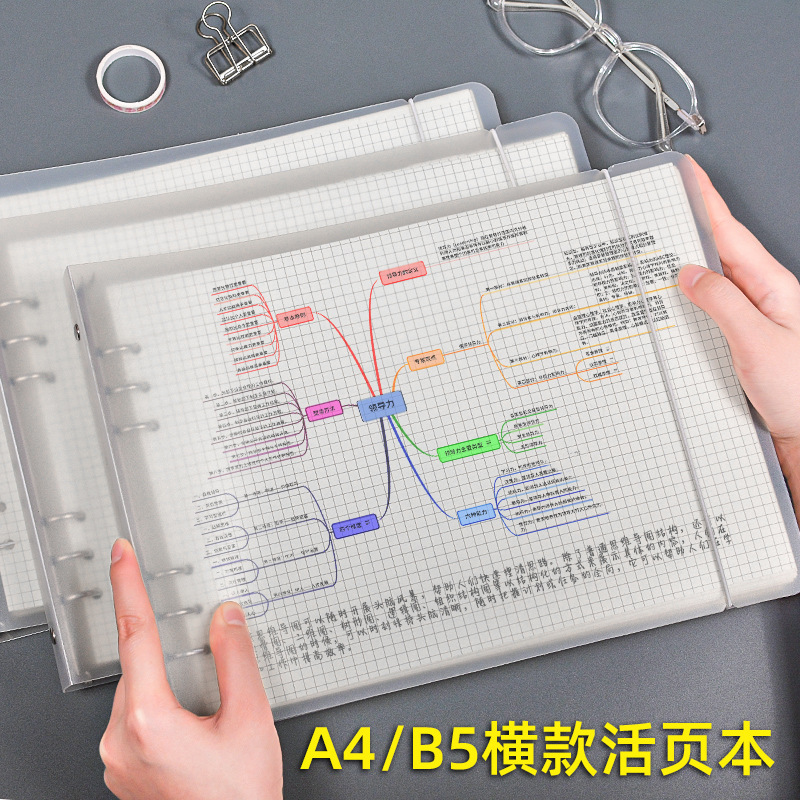 Tờ PP, một vỏ trong suốt 4, loại bỏ đồ thị vuông B5 lõi.