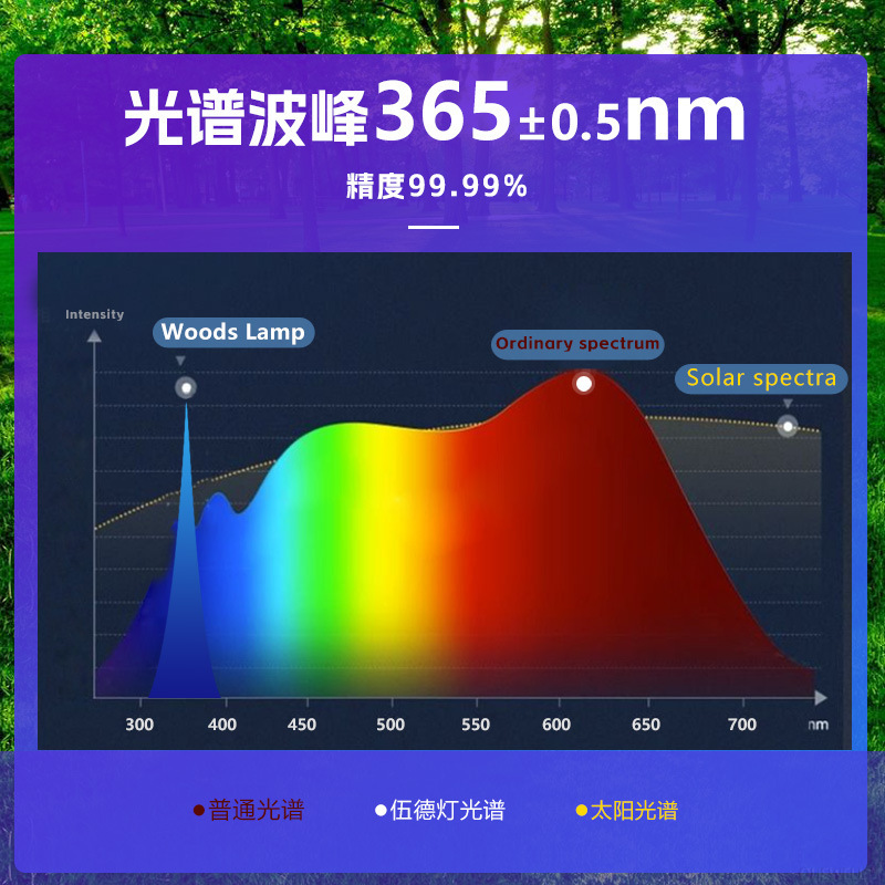 充電伍德燈皮膚檢測家用專業手持濾波wood伍德燈檢測儀有證批發