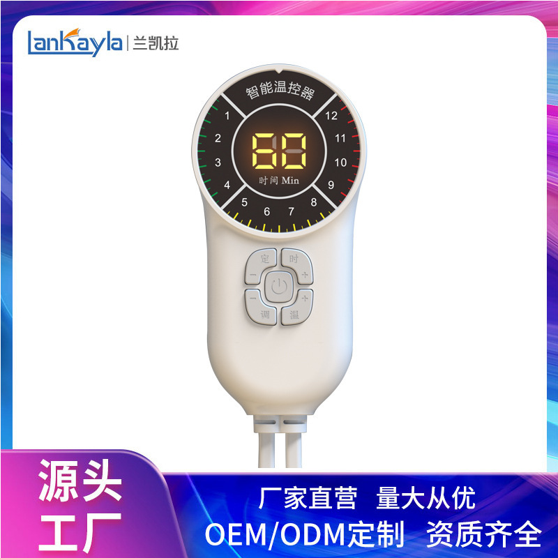 Source 150W Electron Thermal Blank Smart DS Series Timed Temperature Switch, Single-Man Double Temperator