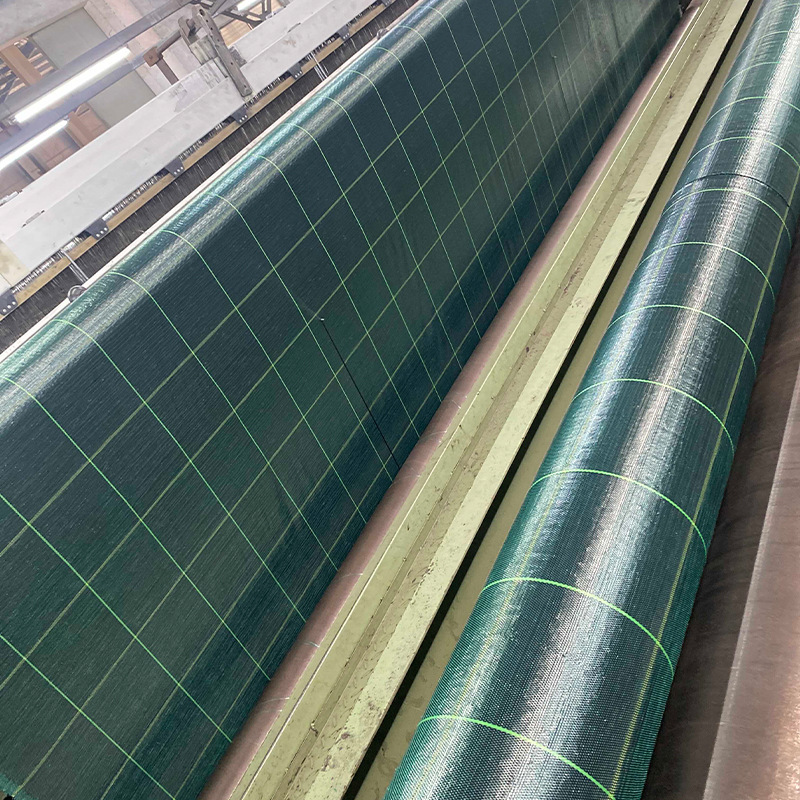 Một khu vườn cao nhất với những cây cỏ xanh tươi và những cây non lai giống để làm cây cỏ bị rụng.